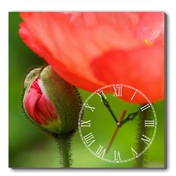 Đồng hồ tranh Chớm nở Dyvina 1T4040-71