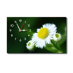 Đồng hồ tranh Hoa dại Dyvina B1525-96