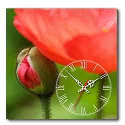 Dyvina 1T3030-114 - Đồng hồ tranh Búp hoa