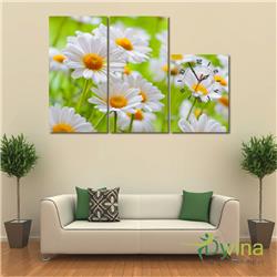 Đồng Hồ Tranh Dyvina 3T-68 